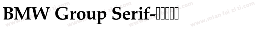 BMW Group Serif字体转换